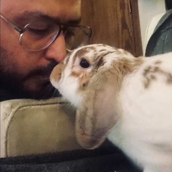 Meet your Posh Ambassador, David - Picture 7 of 12